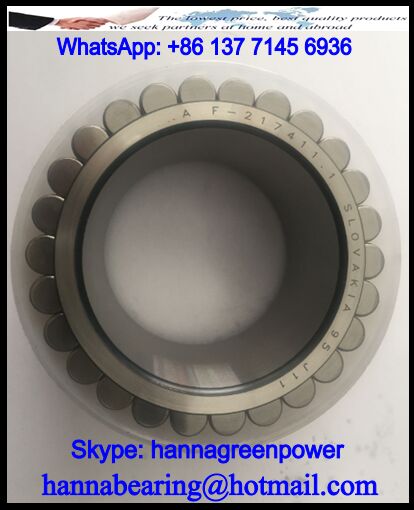 217411.RNN Cylindrical Roller Bearing 65x93.1x55mm